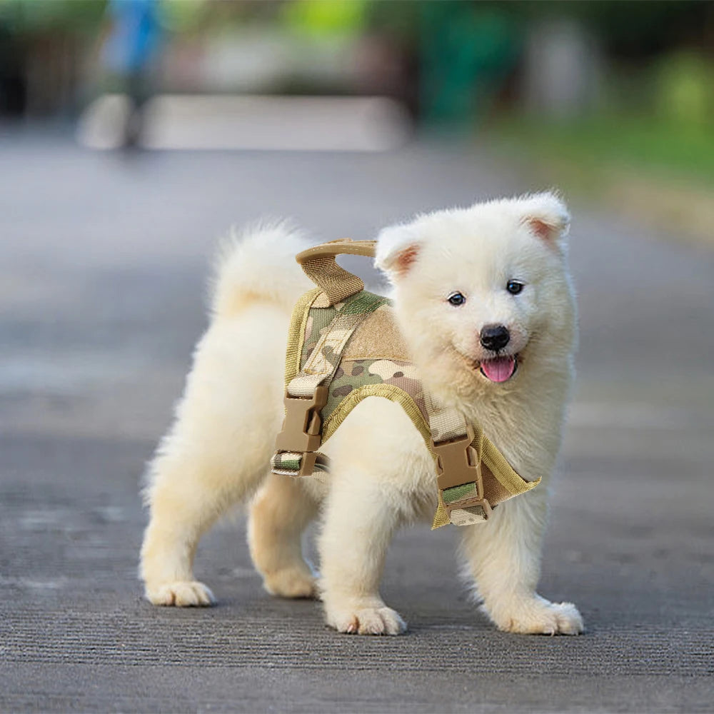 Arnés Táctico Ajustable para Mascotas – Gatos y Perros Pequeños 🐾