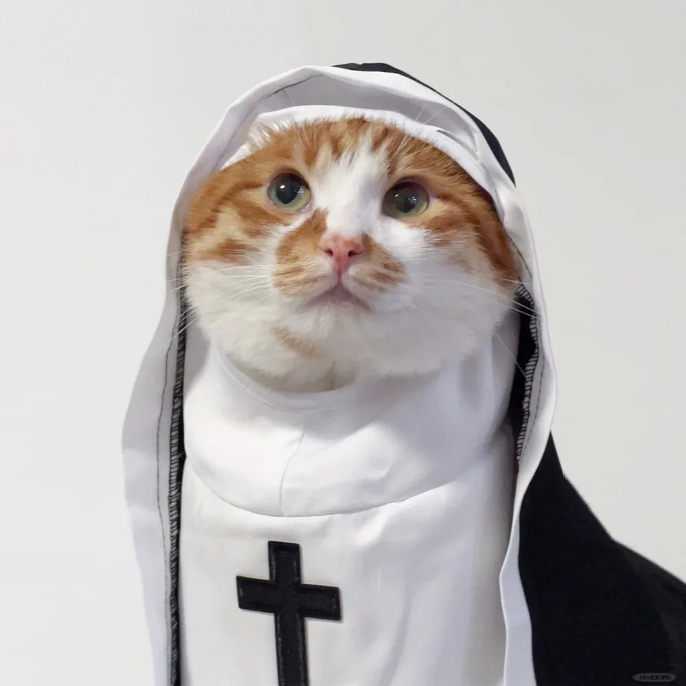 Disfraces para gatos, gatos y perros, travesti, COS divertido, accesorios para fotos de mascotas pequeñas y medianas, disfraces divertidos para gatos