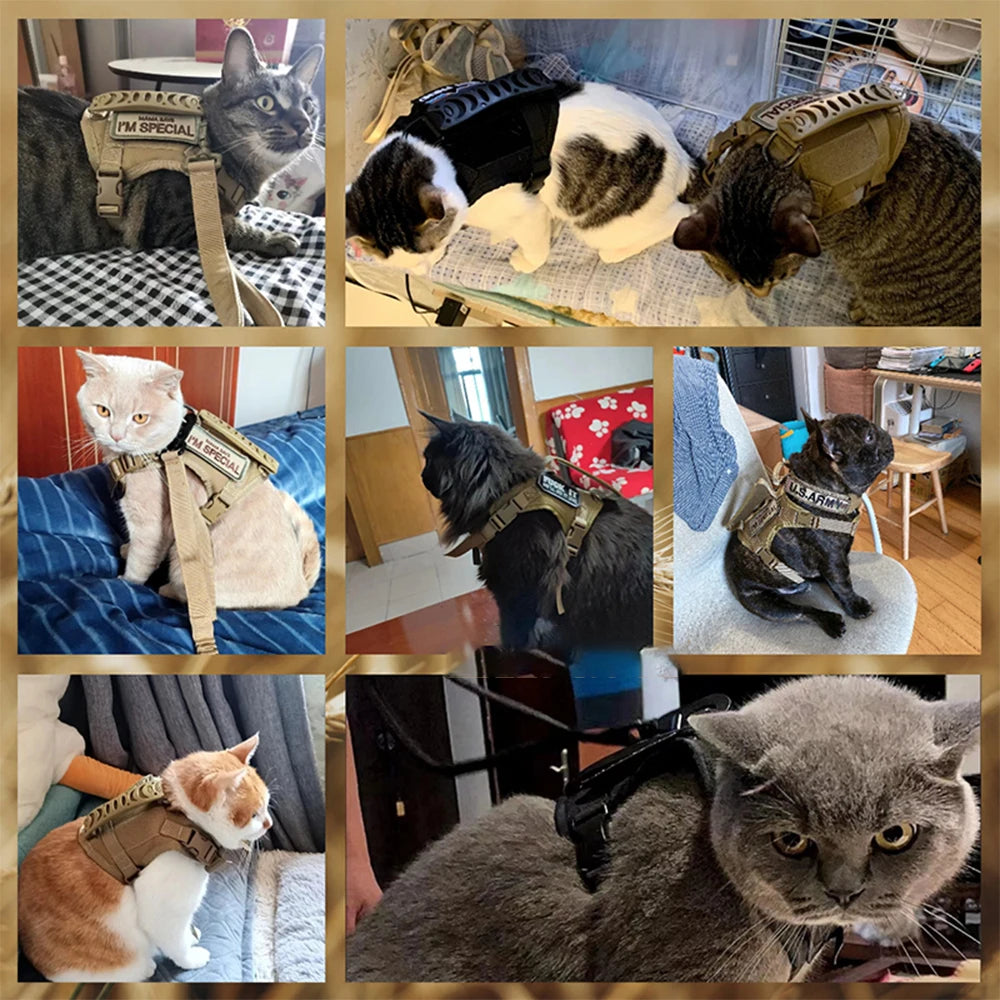 Arnés Táctico Ajustable para Mascotas – Gatos y Perros Pequeños 🐾
