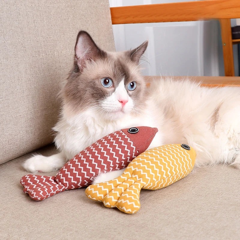 Juguetes para gatos y gatitos – Kit interactivo con hierba gatera