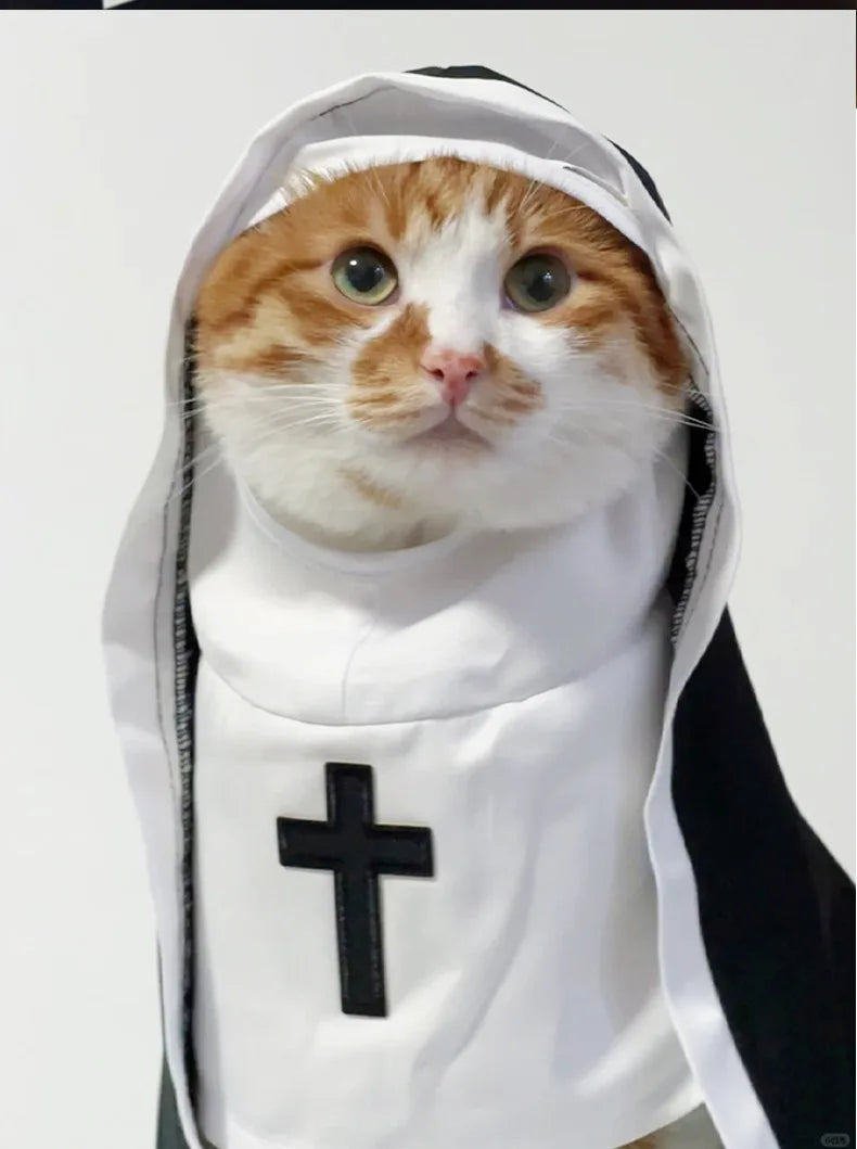 Disfraces para gatos, gatos y perros, travesti, COS divertido, accesorios para fotos de mascotas pequeñas y medianas, disfraces divertidos para gatos