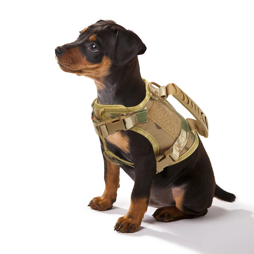 Arnés Táctico Ajustable para Mascotas – Gatos y Perros Pequeños 🐾