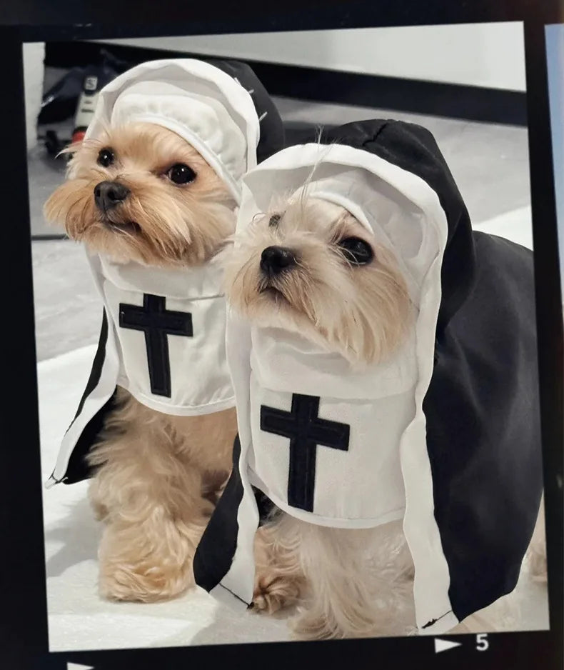 Disfraces para gatos, gatos y perros, travesti, COS divertido, accesorios para fotos de mascotas pequeñas y medianas, disfraces divertidos para gatos