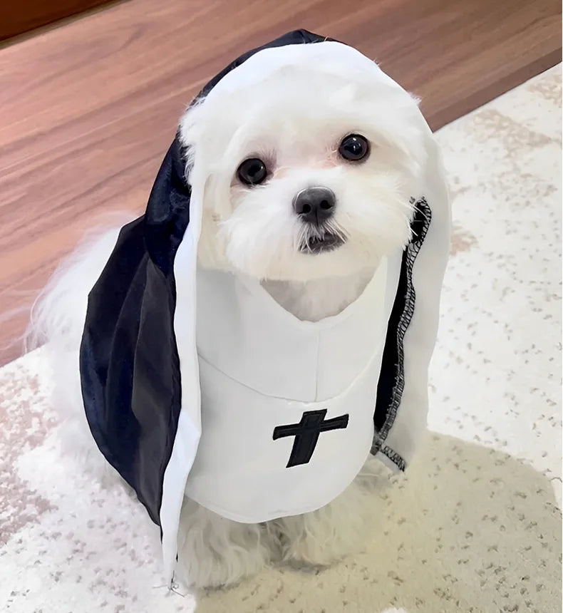 Disfraces para gatos, gatos y perros, travesti, COS divertido, accesorios para fotos de mascotas pequeñas y medianas, disfraces divertidos para gatos
