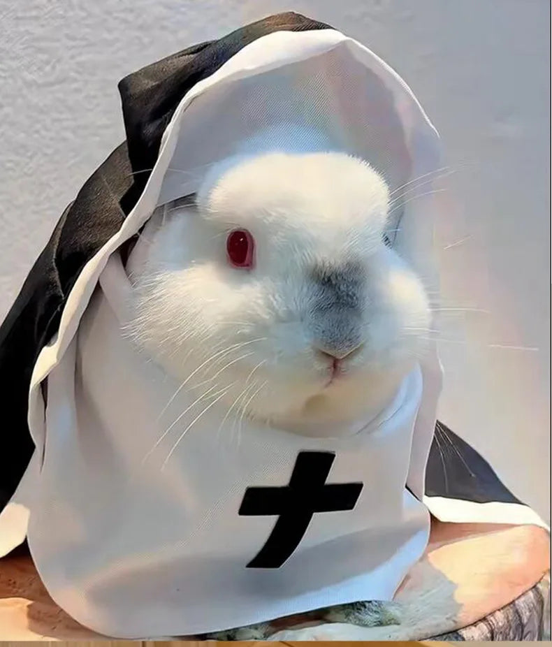 Disfraces para gatos, gatos y perros, travesti, COS divertido, accesorios para fotos de mascotas pequeñas y medianas, disfraces divertidos para gatos