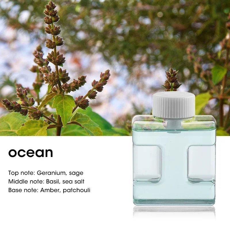 Difusor Ultrasónico de Aromaterapia 50ml – Hogar y Coche 🌿💧
