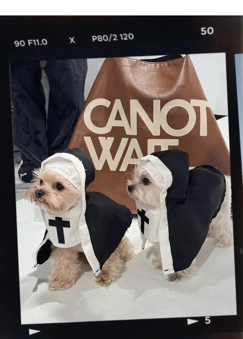 Disfraces para gatos, gatos y perros, travesti, COS divertido, accesorios para fotos de mascotas pequeñas y medianas, disfraces divertidos para gatos