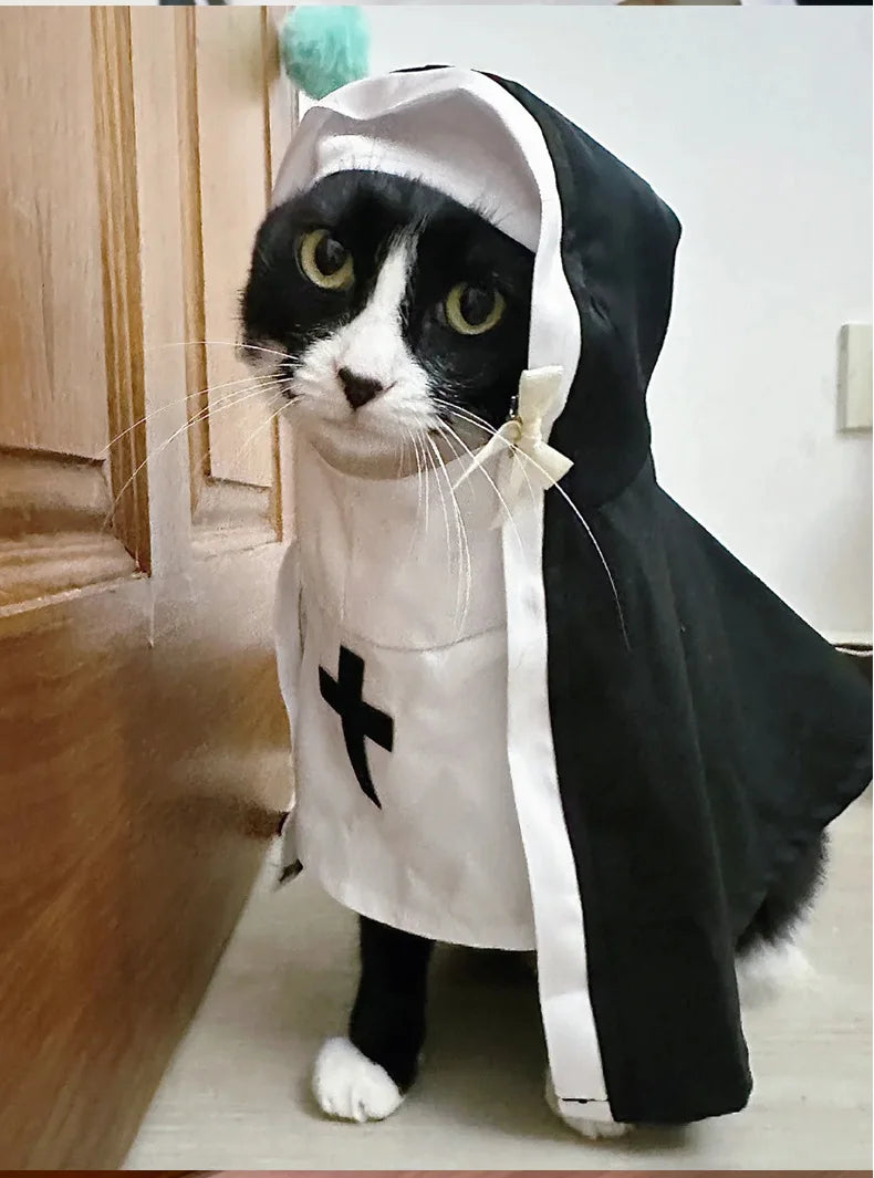 Disfraces para gatos, gatos y perros, travesti, COS divertido, accesorios para fotos de mascotas pequeñas y medianas, disfraces divertidos para gatos